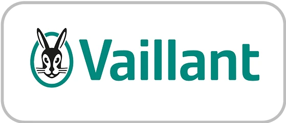Vaillant BG Logo